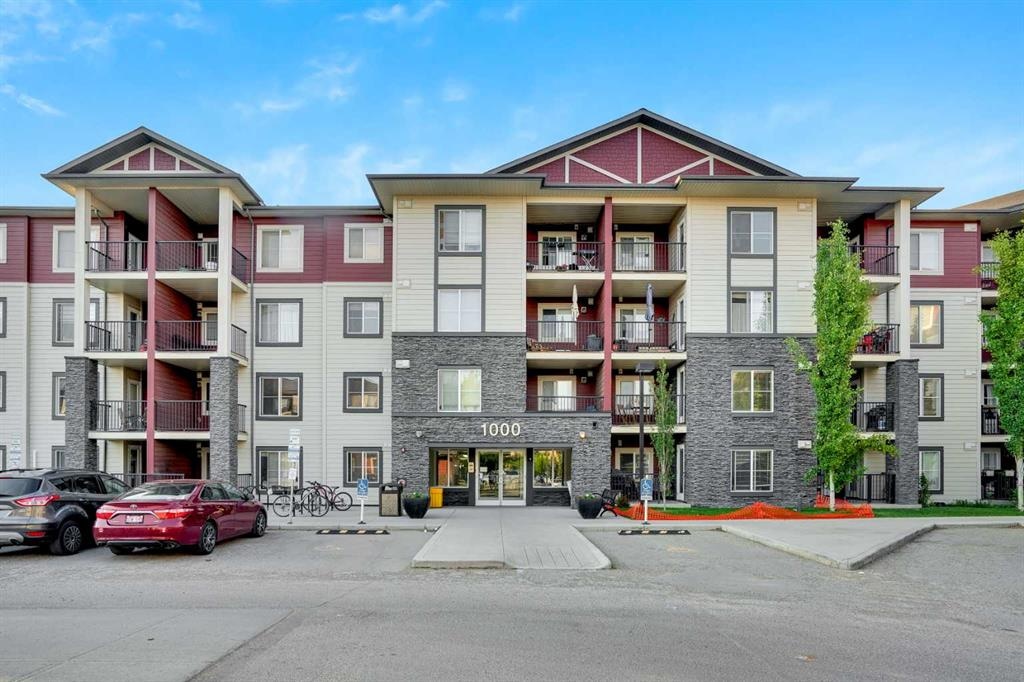 81 Legacy - Main Image