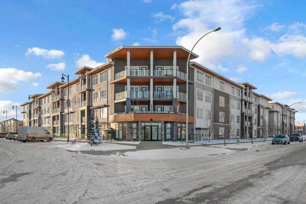 681 Savanna - Main Image