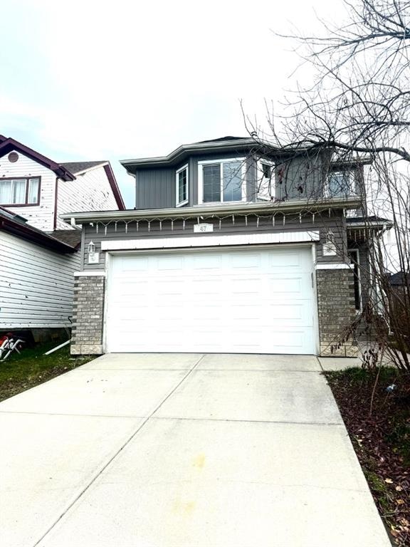 47 SADDLEBACK - Main Image