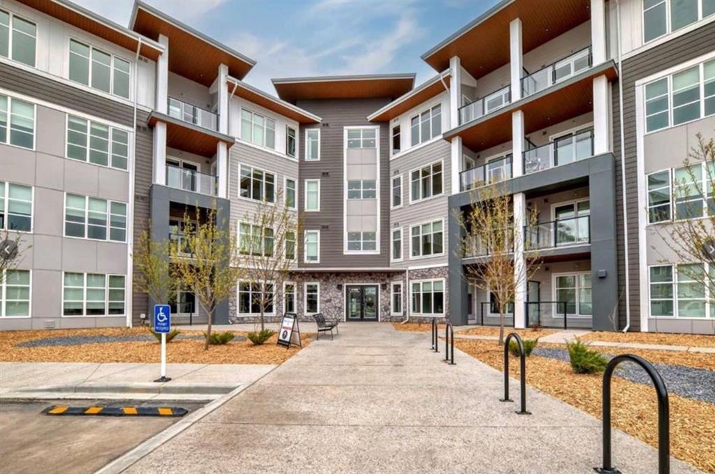 681 Savanna - Main Image