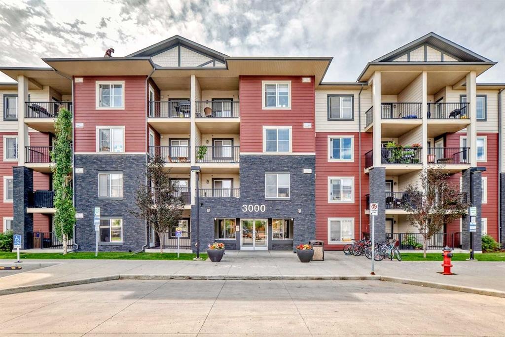 81 Legacy - Main Image