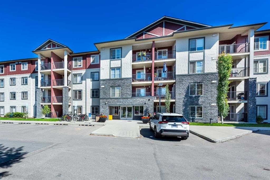 81 Legacy - Main Image