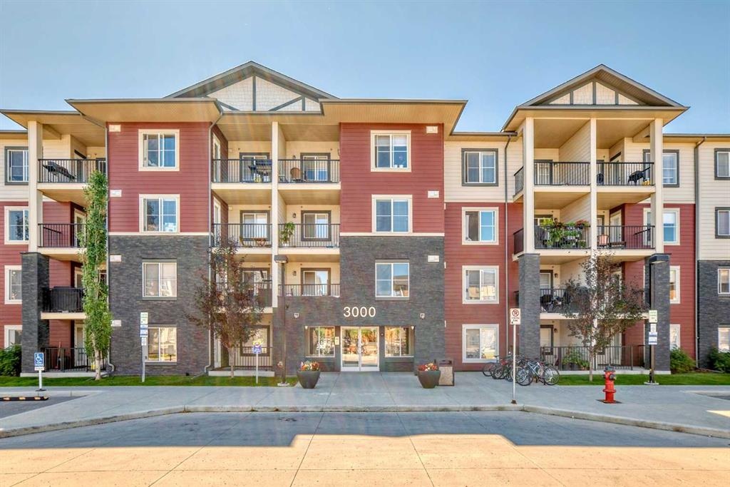 81 Legacy - Main Image