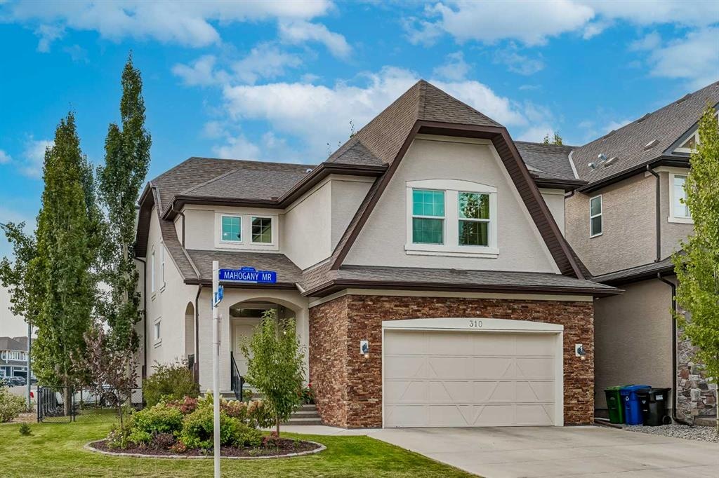 310 Mahogany - Main Image