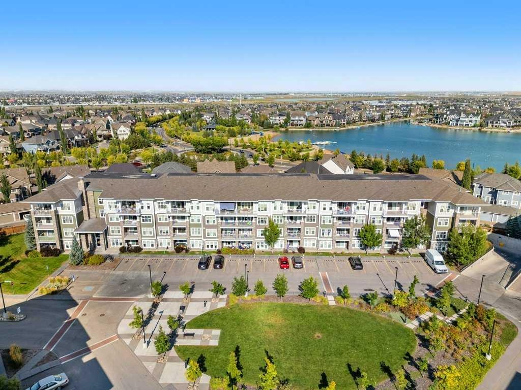 11 Mahogany - Main Image