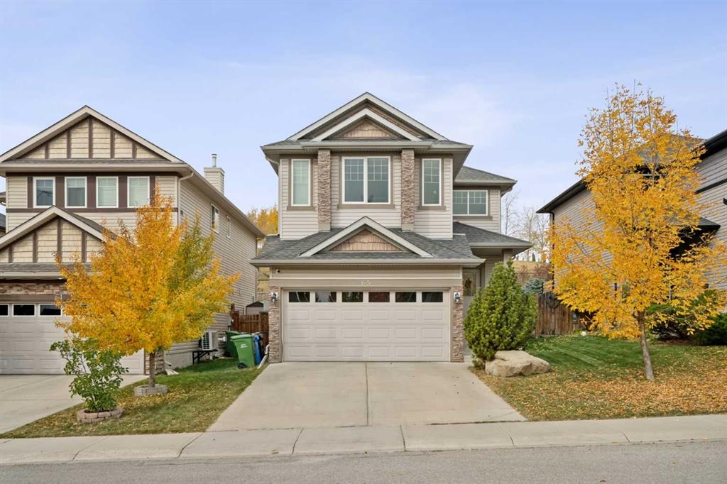 65 Royal Birch - Main Image